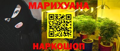 сатива Малоярославец