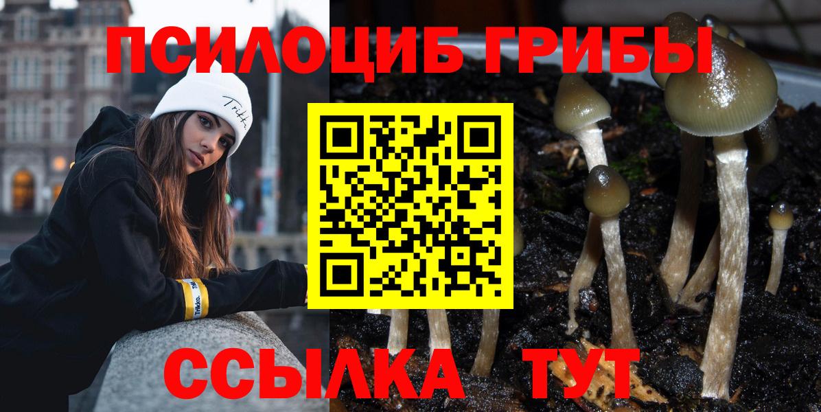 Галлюциногенные грибы Cubensis  Вход с VPN  Великий Новгород 